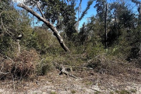 Land in Cross City, Florida № 2161417 - photo 5