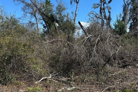 Land in Cross City, Florida № 2161417 - photo 19