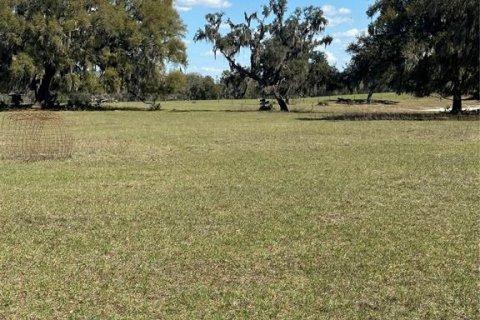 Land in Cross City, Florida № 2161417 - photo 14