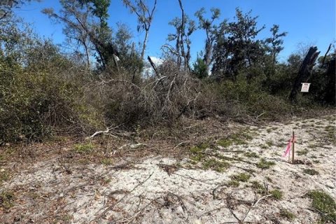 Land in Cross City, Florida № 2161417 - photo 18