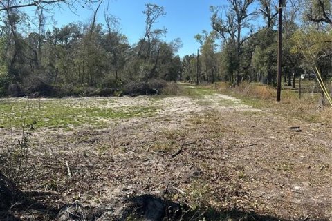 Land in Cross City, Florida № 2161417 - photo 20