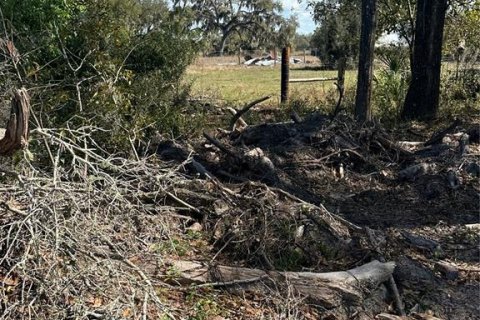 Land in Cross City, Florida № 2161417 - photo 10