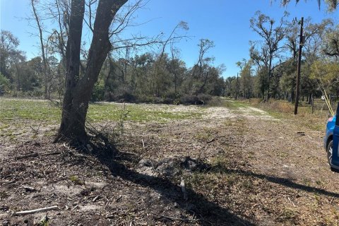 Land in Cross City, Florida № 2161417 - photo 3