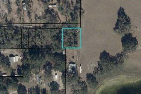 Land in Cross City, Florida № 2161417