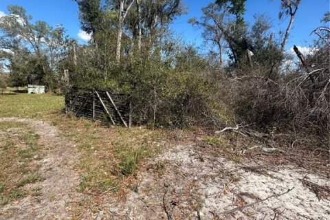 Land in Cross City, Florida № 2161417 - photo 17