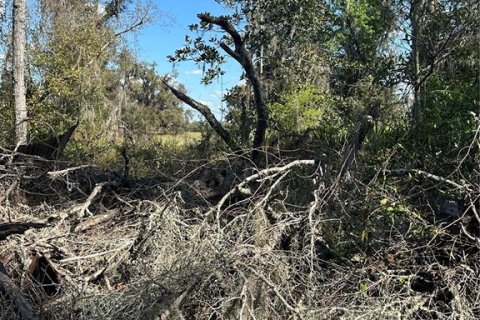 Land in Cross City, Florida № 2161417 - photo 8