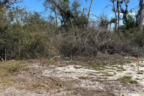 Land in Cross City, Florida № 2161417 - photo 21