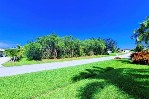 Terrain à vendre à Port St. Lucie, Floride № 2011243 - photo 2