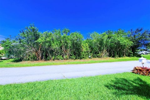 Terrain à vendre à Port St. Lucie, Floride № 2011243 - photo 3