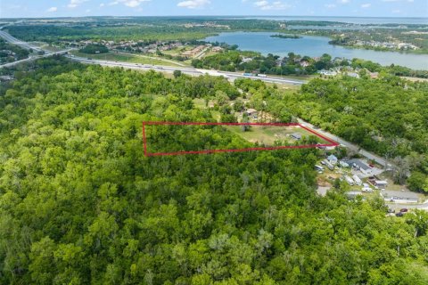 Land in Winter Garden, Florida № 2097363 - photo 15