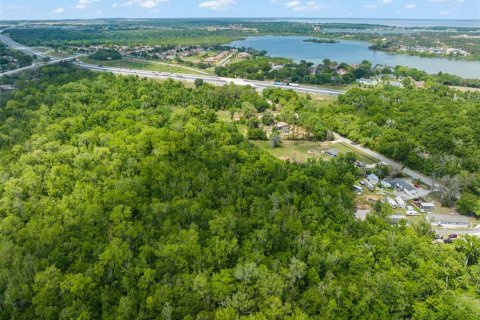 Land in Winter Garden, Florida № 2097363 - photo 16