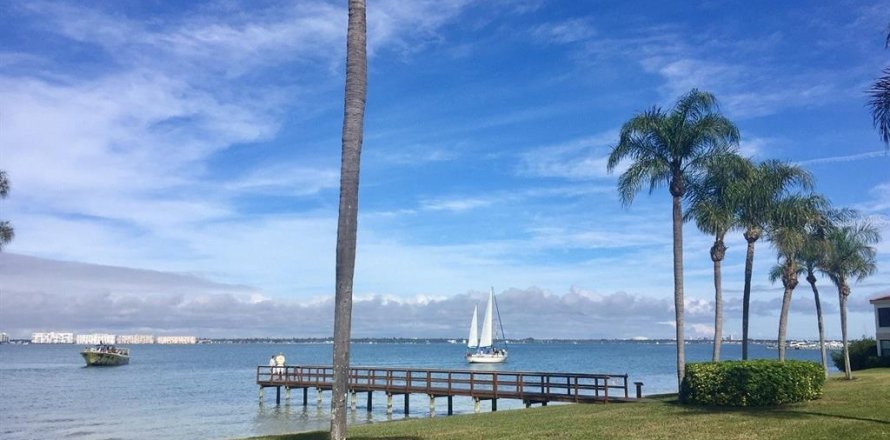 Condo à Saint Petersburg, Floride, 2 chambres № 1539520