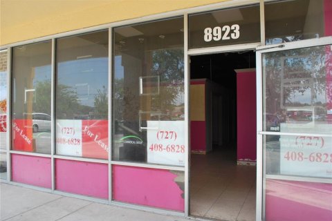 Commercial property in Hudson, Florida 116.13 sq.m. № 1894500 - photo 8