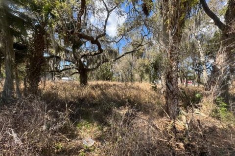 Terrain à vendre à New Smyrna Beach, Floride № 2144801 - photo 6