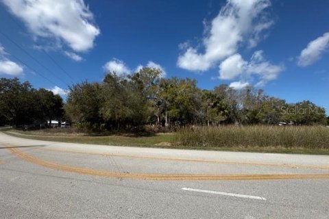 Terrain à New Smyrna Beach, Floride № 2144801