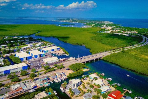 House in Tavernier, Florida 4 bedrooms № 2392983 - photo 6
