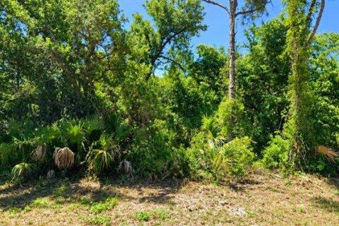 Land in North Port, Florida № 2373100 - photo 2