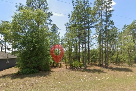 Land in Citrus Springs, Florida № 2160753