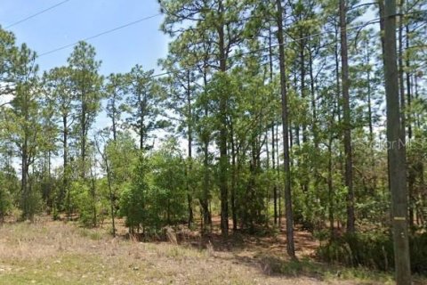 Land in Citrus Springs, Florida № 2160753 - photo 3