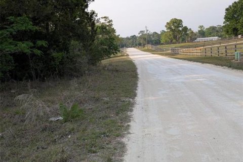 Terrain à vendre à Ocala, Floride № 2212262 - photo 4