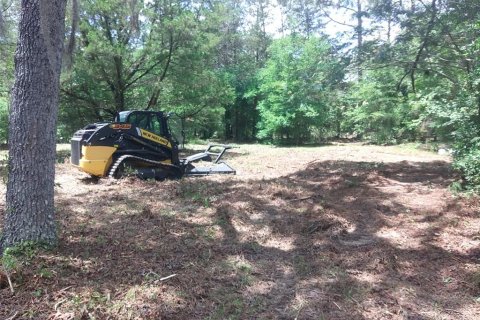 Land in Ocala, Florida № 2212262