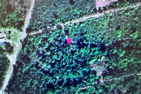 Land in Crescent City, Florida № 2164450 - photo 2