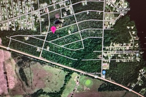 Land in Crescent City, Florida № 2164450 - photo 3