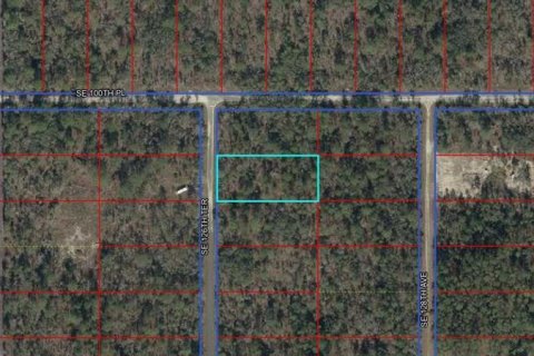 Land in Dunnellon, Florida № 2166487
