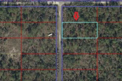 Land in Dunnellon, Florida № 2166487 - photo 2