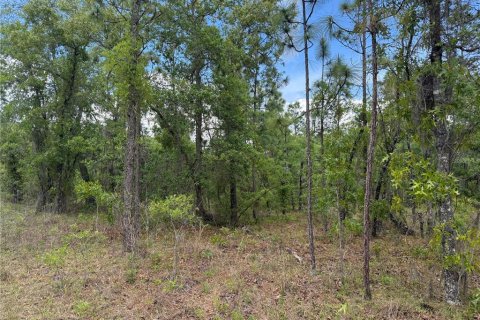 Land in Dunnellon, Florida № 2166487 - photo 3