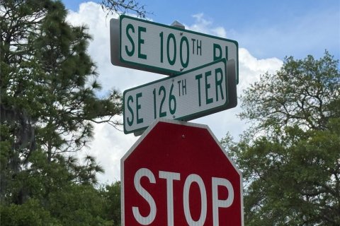 Land in Dunnellon, Florida № 2166487 - photo 4
