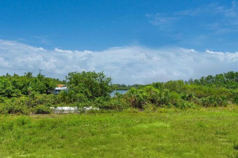 Land in Nokomis, Florida № 1684805 - photo 6