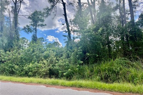 Land in North Port, Florida № 2163838 - photo 2