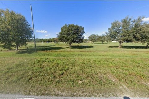 Land in Polk City, Florida № 2202859 - photo 2