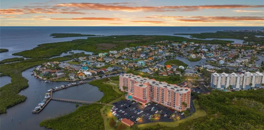Condo à New Port Richey, Floride, 2 chambres № 1536657