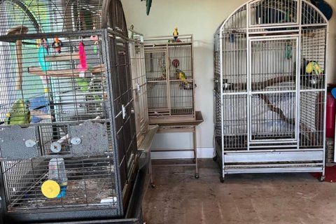 Villa ou maison à vendre à Port St. Lucie, Floride: 4 chambres, 159.79 m2 № 2064918 - photo 19