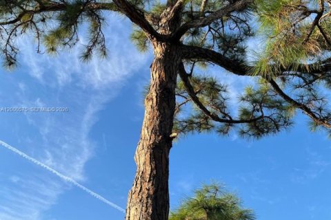 Villa ou maison à vendre à Port St. Lucie, Floride: 4 chambres, 159.79 m2 № 2064918 - photo 26