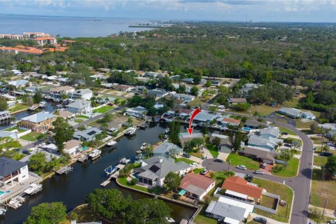 House in Palm Harbor, Florida 3 bedrooms, 192.21 sq.m. № 2210027 - photo 13