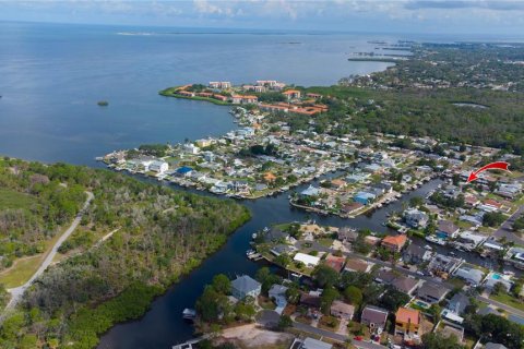 House in Palm Harbor, Florida 3 bedrooms, 192.21 sq.m. № 2210027 - photo 14
