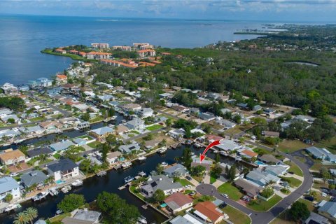 Villa ou maison à Palm Harbor, Floride 3 chambres, 192.21 m2 № 2210027