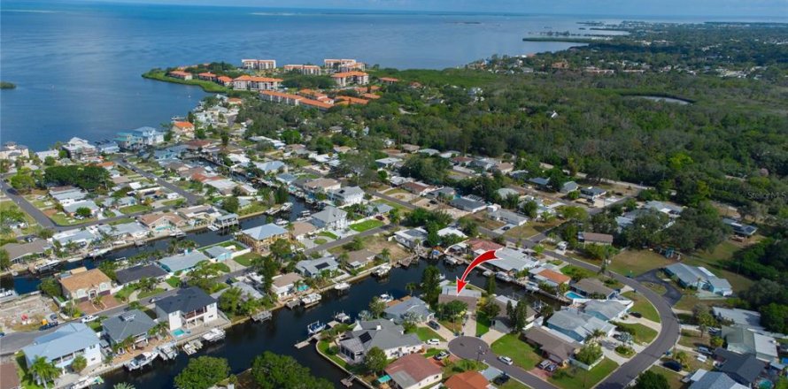 House in Palm Harbor, Florida 3 bedrooms, 192.21 sq.m. № 2210027