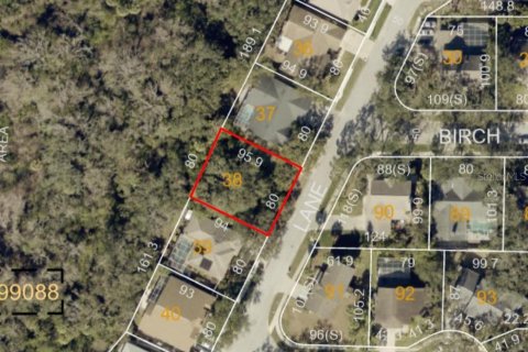Land in Seminole, Florida № 1915000 - photo 2
