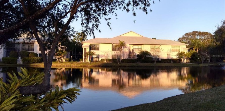Condo in Palm Harbor, Florida, 2 bedrooms № 2222162