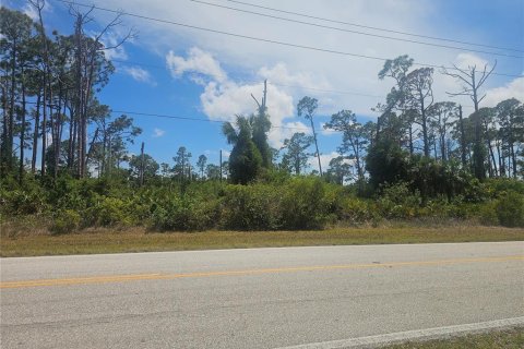Land in Port Charlotte, Florida № 2162326 - photo 3