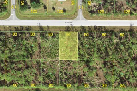 Land in Port Charlotte, Florida № 2162326 - photo 2