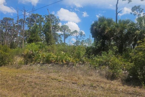 Land in Port Charlotte, Florida № 2162326
