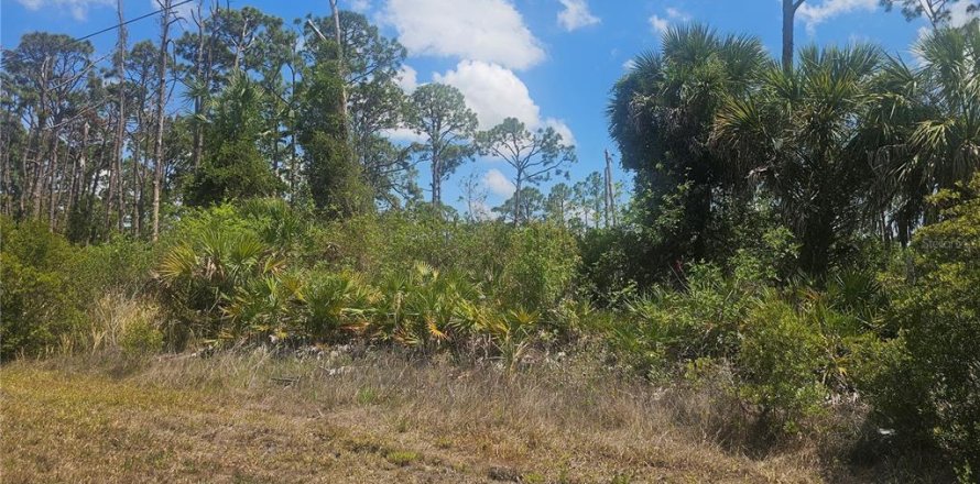 Land in Port Charlotte, Florida № 2162326