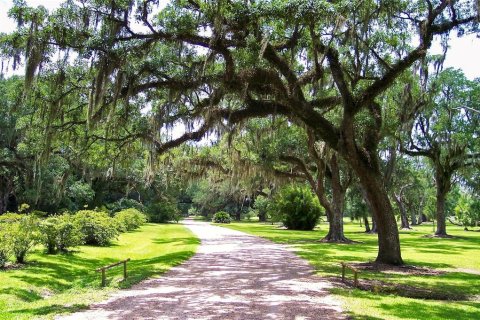 Land in Oakland, Florida № 1866687 - photo 14