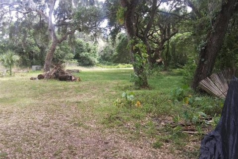 Land in Zephyrhills, Florida № 1677292 - photo 1