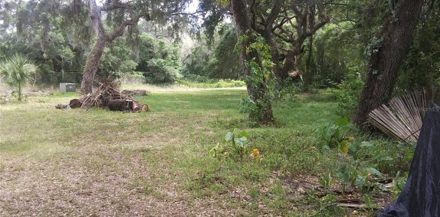 Land in Zephyrhills, Florida № 1677292